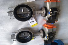 氣動(dòng)蝶閥的結構形式和特點(diǎn)？